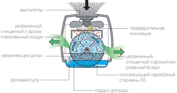 AOS_2055.jpg AOS_2055.jpg