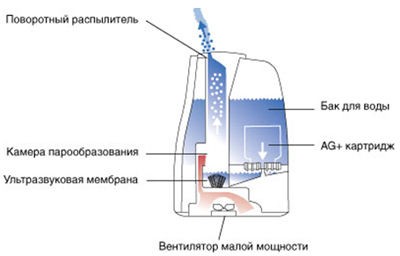 U600-650.jpg U600-650.jpg